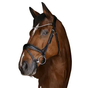 Bridons équitation Eric Thomas Elite Munich image-1