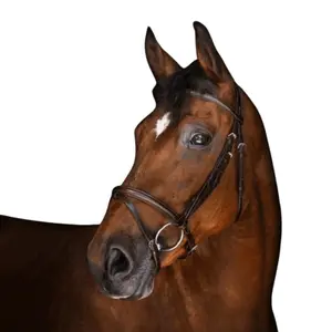 Zaumzeug Reiten Eric Thomas Elite Londres image-1