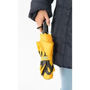 Automatic umbrella Erik Snoopy Foodie image-1