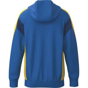 Dětská mikina s kapucí Erima Celebrate 125 Training image-1