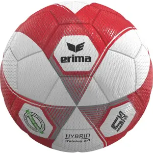 Balón Erima Hybrid Training 2.0
