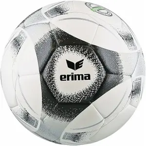 Sportsbal Erima Hybrid Training image-0