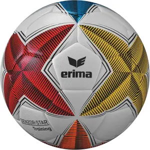 Set of 10 Footballs Erima Senzor-Star image-0