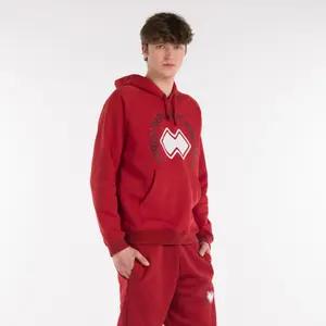 Sweatshirt à capuche Errea GFX image-4