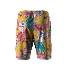 Bermudas Errea Graphic Transfer 01 image-1