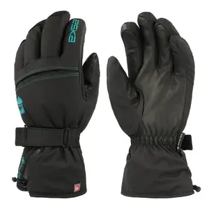 Ski gloves Eska Club Pro GTX image-0