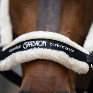 Halter for horse Eskadron Borrego 420700 834 image-3