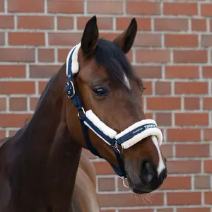 Halter for horse Eskadron Borrego 420700 834 image-2