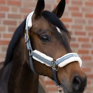Halter for horse Eskadron Borrego 420700 834 image-2