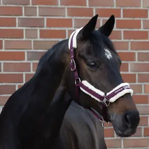 Halter for horse Eskadron Borrego 420700 834 image-2