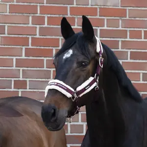 Halter for horse Eskadron Borrego 420700 834 image-3