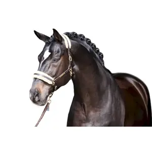 Trensenhülle Eskadron en fausse fourrure Elegance image-0