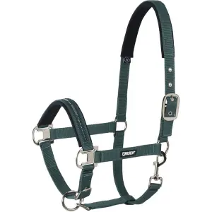 410000-816-590-halfter-fur-pferd-eskadron-pin-buckle-racinggreen