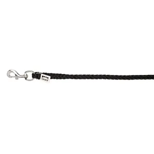 Longe Reiten Eskadron Regular KH Silver (x5) image-0
