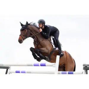 Horse gaiters Eskadron mesh Gamaschen image-1