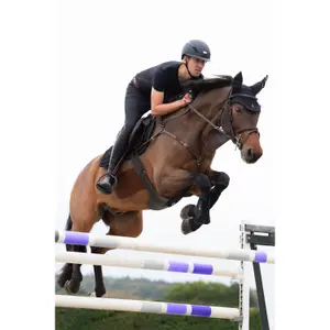 Horse gaiters Eskadron mesh Gamaschen image-2