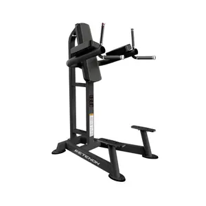 Dip- und Bauchmuskelgerät Etenon Fitness image-0