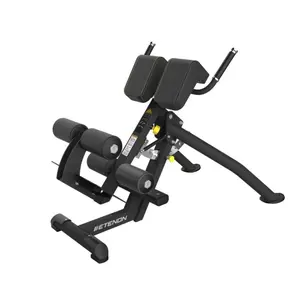 Doppelneigbarer Rückenbank Etenon Fitness image-0