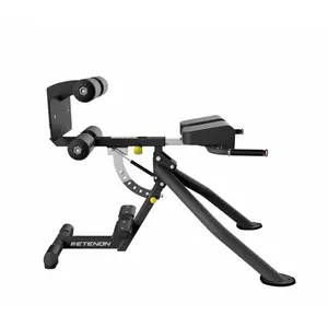 Doppelneigbarer Rückenbank Etenon Fitness image-1