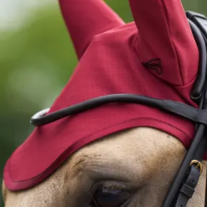 Orejeras para caballo anti moscas Euro-Star Coco image-3