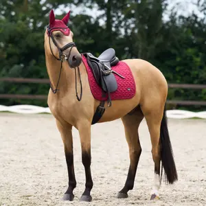 Dressyrmattor för hästar Euro-Star Cato image-1