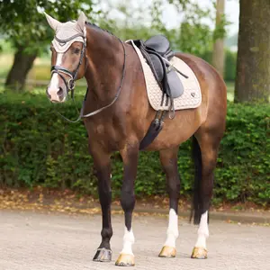 Orejeras para caballo anti moscas Euro-Star Cato image-2