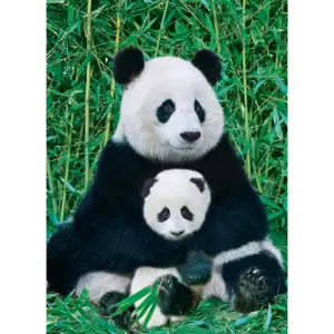 1000-piece panda puzzle Eurographics image-0