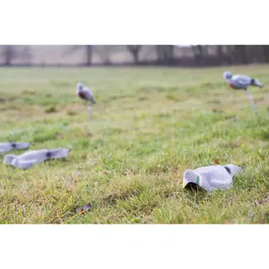 Media carcasa de paloma EUROHUNT image-2