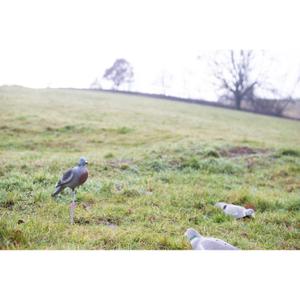 Pigeon leurre floqué à corps plein EUROHUNT image-2
