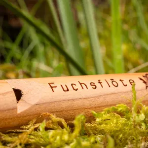 Llamadas de apareamiento del zorro EUROHUNT Weisskirchen image-4