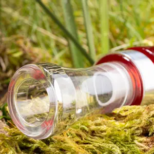 Appeaux oie acrylique EUROHUNT Weisskirchen image-3