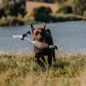 Mannequin d'entraînement apportable EUROHUNT HP&G image-1