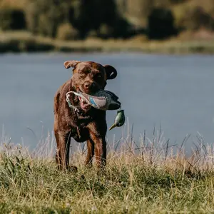 Mannequin d'entraînement apportable EUROHUNT HP&G image-1