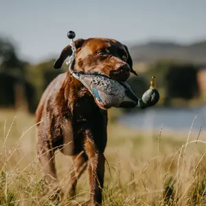 Mannequin d'entraînement apportable EUROHUNT HP&G image-2