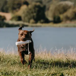 Mannequin d'entraînement apportable bumper EUROHUNT HP&G image-2