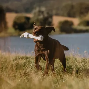 Mannequin d'entraînement balance bumper EUROHUNT HP&G image-2
