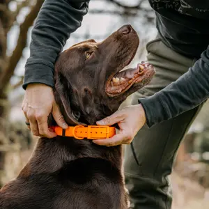 Hundehalsband EUROHUNT HP&G image-2