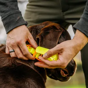 Collier pour chien EUROHUNT HP&G image-1