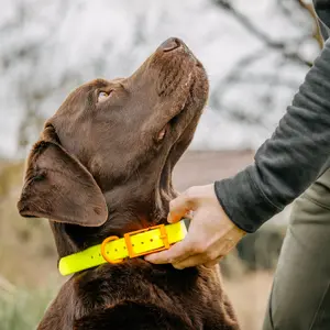 Collier pour chien EUROHUNT HP&G image-2