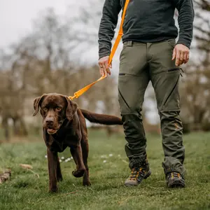 Correa plana para perros EUROHUNT HP&G image-2