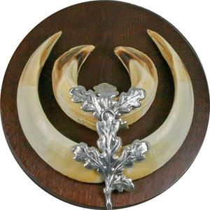 Liście dębu na zęby dzika EUROHUNT (x10) image-2