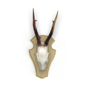 insignia de roble ciervo clip de fijación de plástico EUROHUNT (x10) image-1