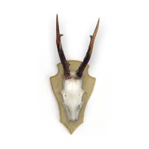 insignia de roble ciervo clip de fijación de plástico EUROHUNT (x5) image-1