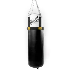 Punching Bag Everlast 1910 image-0