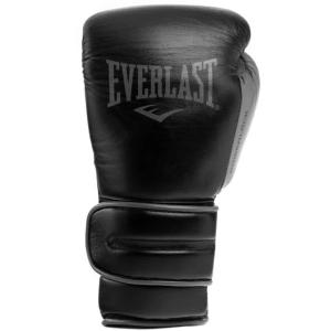 Boxing training gloves Everlast Powerlock 2 Pro