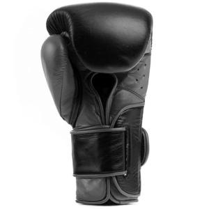 Boxing training gloves Everlast Powerlock 2 Pro image-1
