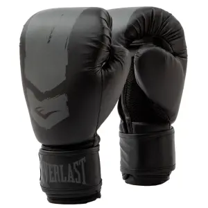 Boxhandschuhe Everlast Prospect 2 image-0