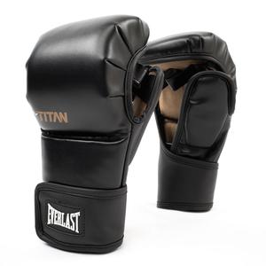 MMA gloves Everlast Titan