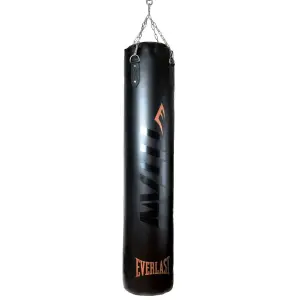 Punching Bag Everlast Titan