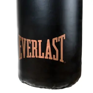 Punching Bag Everlast Titan image-3